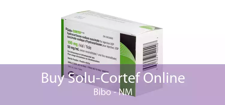 Buy Solu-Cortef Online Bibo - NM