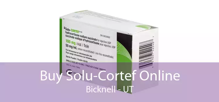 Buy Solu-Cortef Online Bicknell - UT