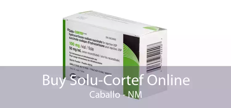 Buy Solu-Cortef Online Caballo - NM