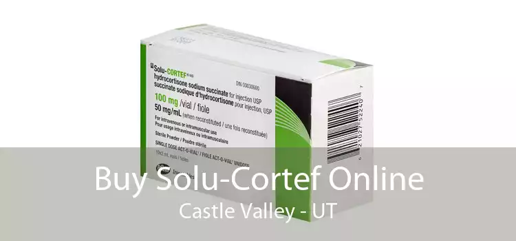 Buy Solu-Cortef Online Castle Valley - UT