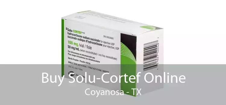 Buy Solu-Cortef Online Coyanosa - TX